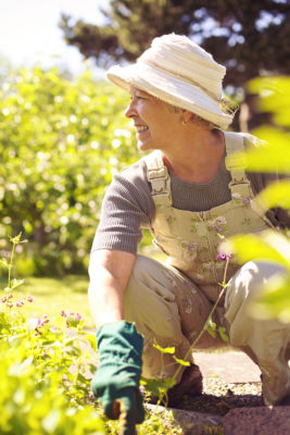 Hearing Wellness Program