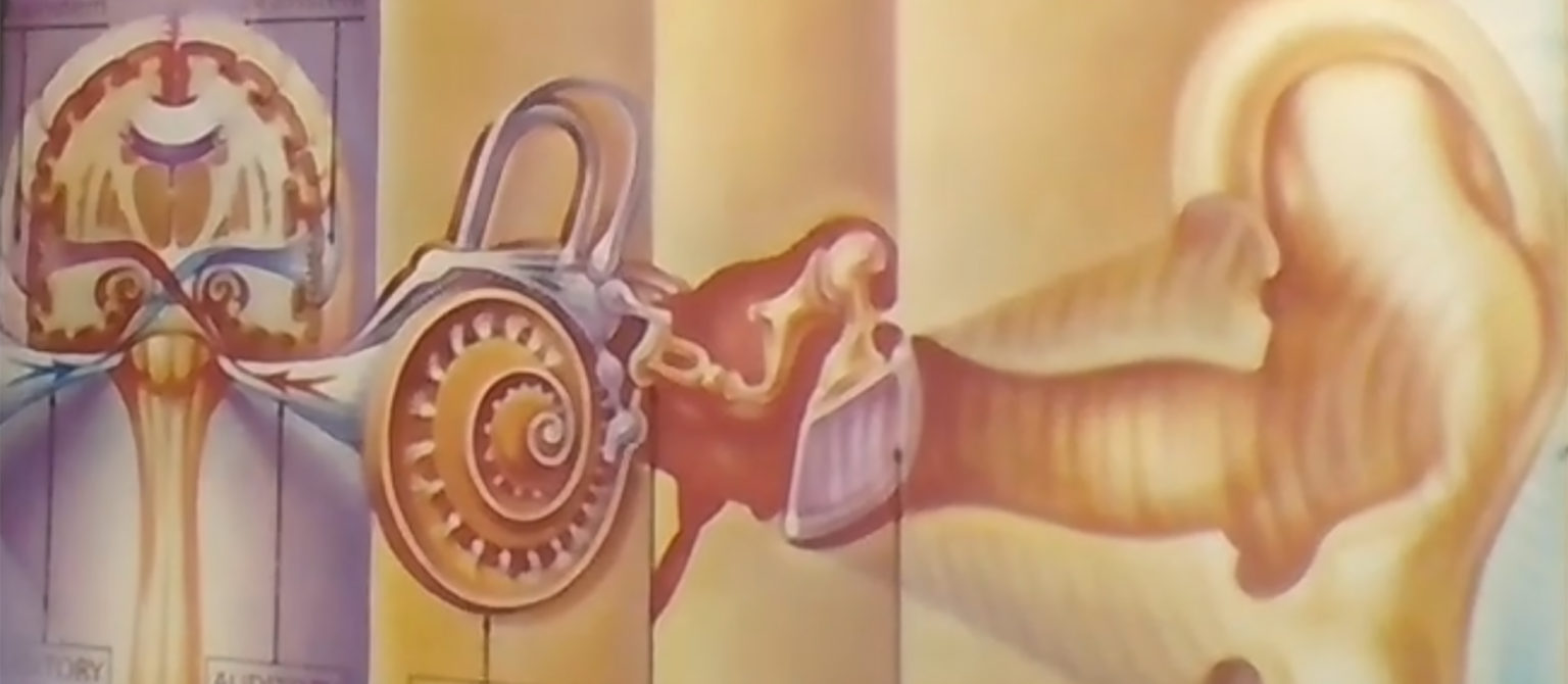 How Hearing Works Lawrence Hearing